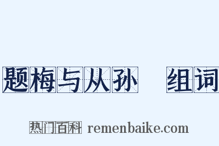题梅与从孙翙组词是什么意思的图片